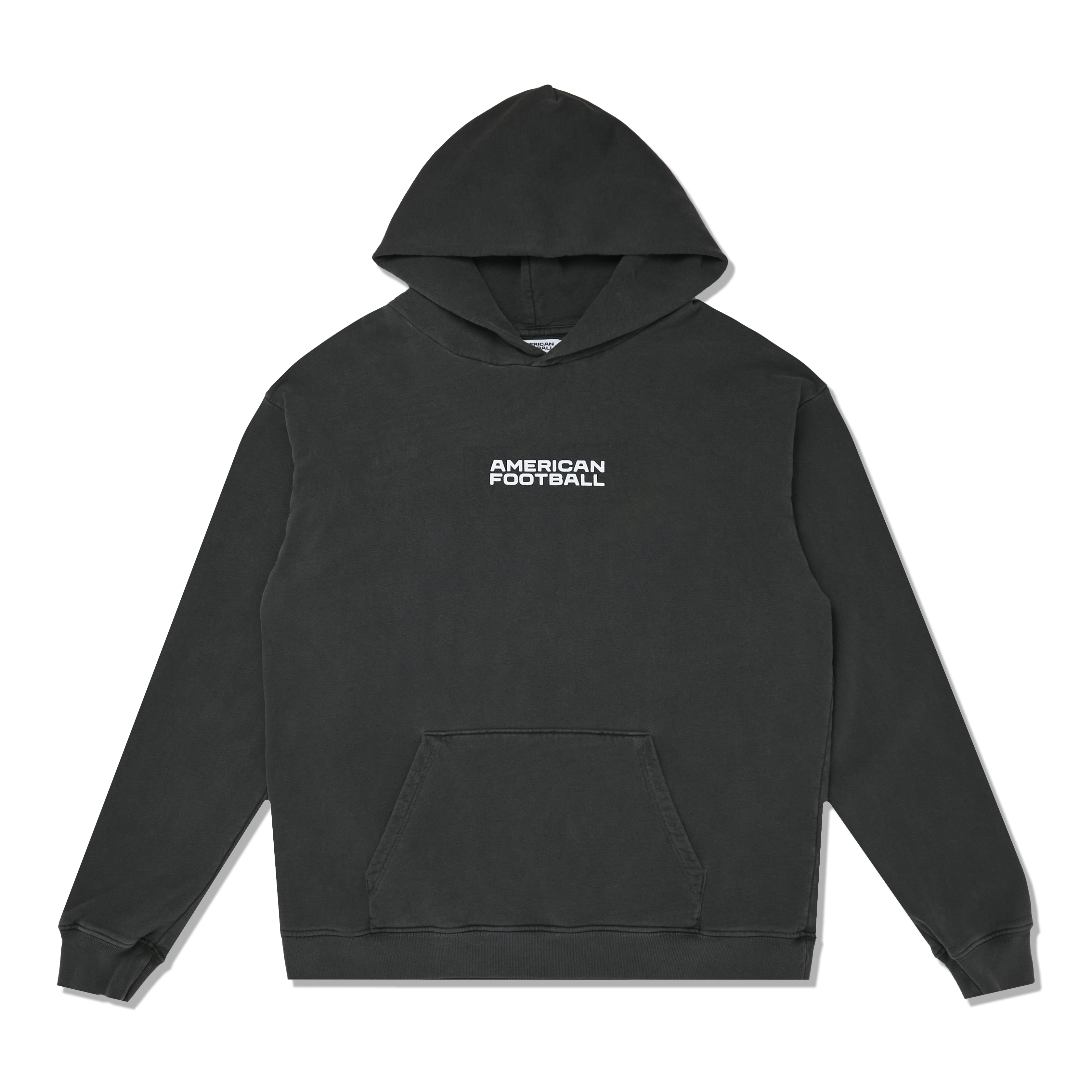 Big Icon Hoodie